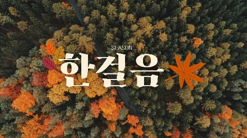 정모 대표 이미지