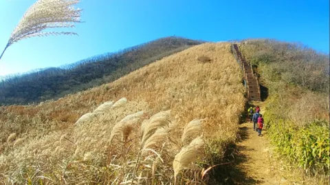 정모 대표 이미지
