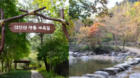 정모 대표 이미지