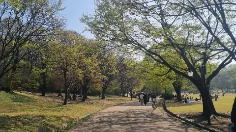 정모 대표 이미지