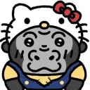 member face
