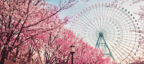 모임 대표 이미지