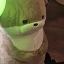 member face