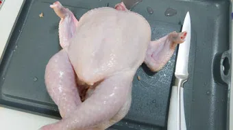 정모 대표 이미지