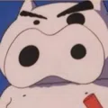 member face