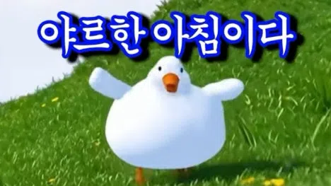 정모 대표 이미지