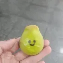 member face