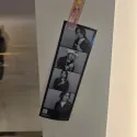 member face