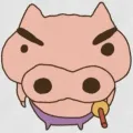 member face
