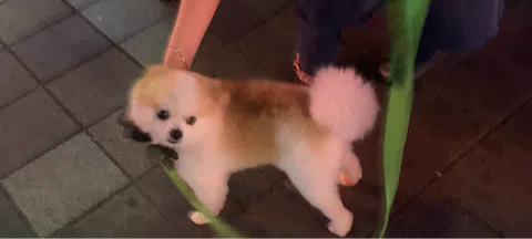 모임 대표 이미지