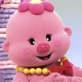 member face
