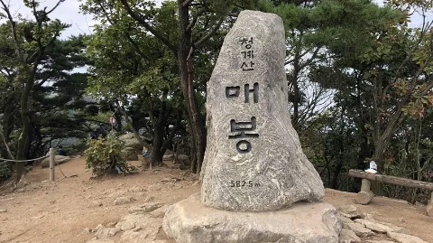 정모 대표 이미지