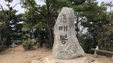 정모 대표 이미지