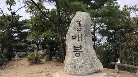 정모 대표 이미지