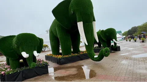 정모 대표 이미지