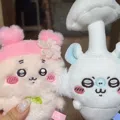 member face
