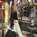 member face