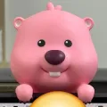 member face