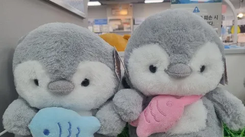 정모 대표 이미지