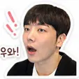 member face