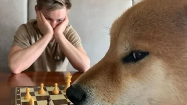 정모 대표 이미지