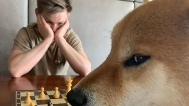 정모 대표 이미지