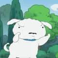 member face