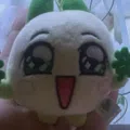 member face