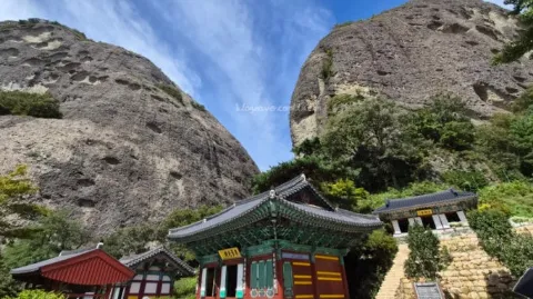 정모 대표 이미지