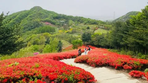 정모 대표 이미지