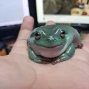 member face