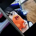 member face