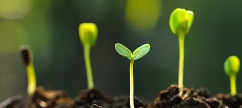 모임 대표 이미지