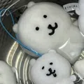 member face