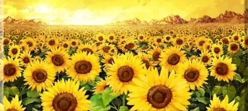 모임 대표 이미지