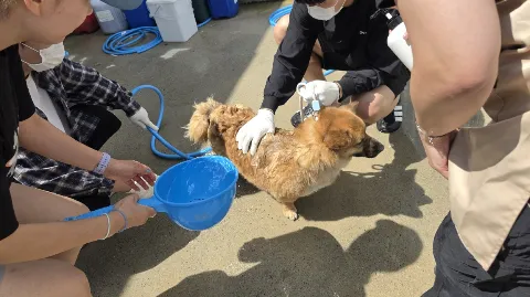 정모 대표 이미지