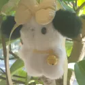 member face