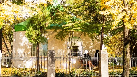 정모 대표 이미지