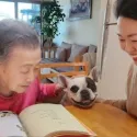 member face