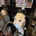 member face