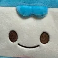 member face