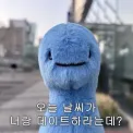 member face