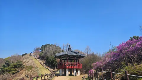 정모 대표 이미지