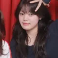 member face