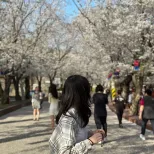member face