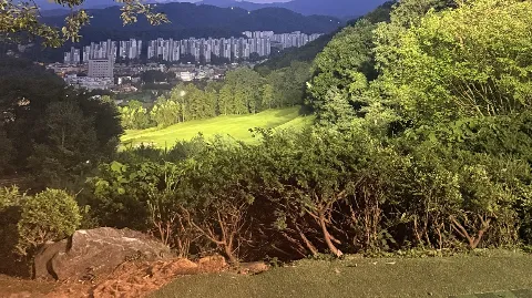 정모 대표 이미지