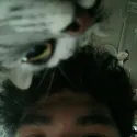 member face