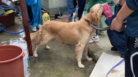 정모 대표 이미지
