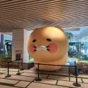 member face