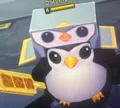 member face